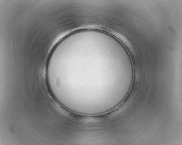 X0000115711420200911251846