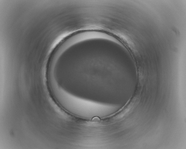 X0000115711422200911251846