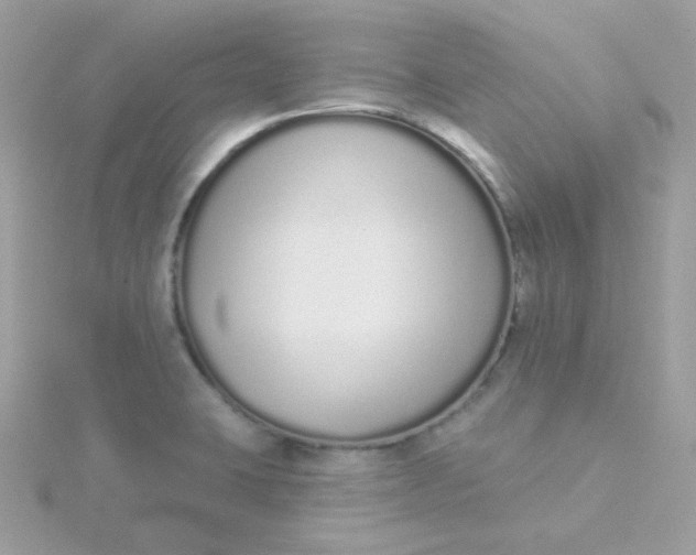 X0000115711423200911251846