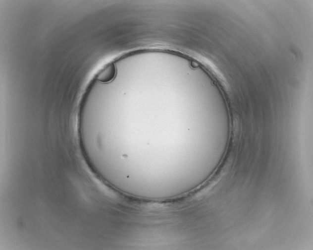 X0000115711424200911251846