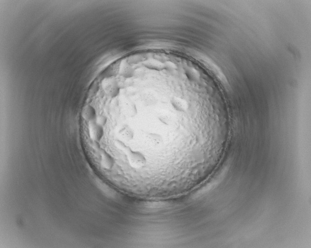 X0000115711425200911251846