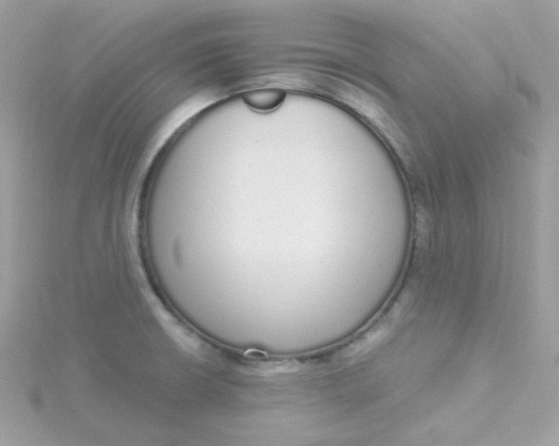 X0000115711426200911251846