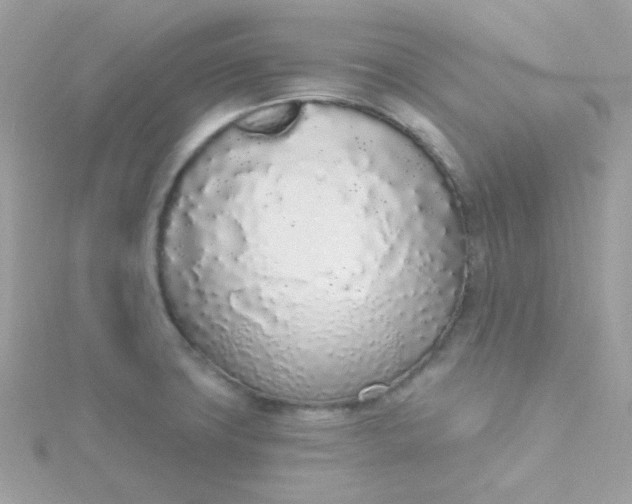 X0000115711427200911251846