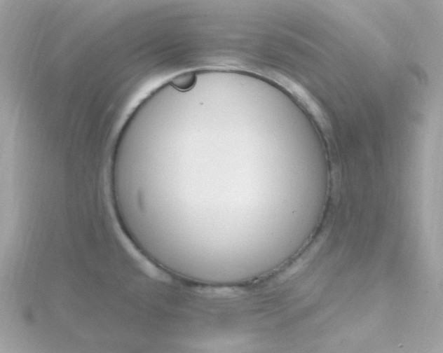 X0000115711432200911251846