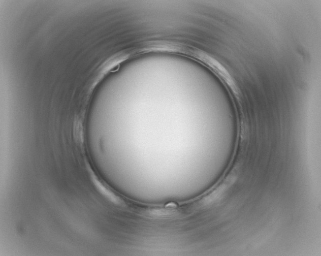 X0000115711433200911251846