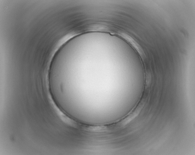 X0000115711434200911251846