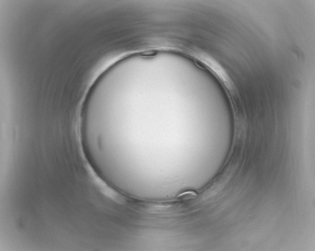 X0000115711439200911251846