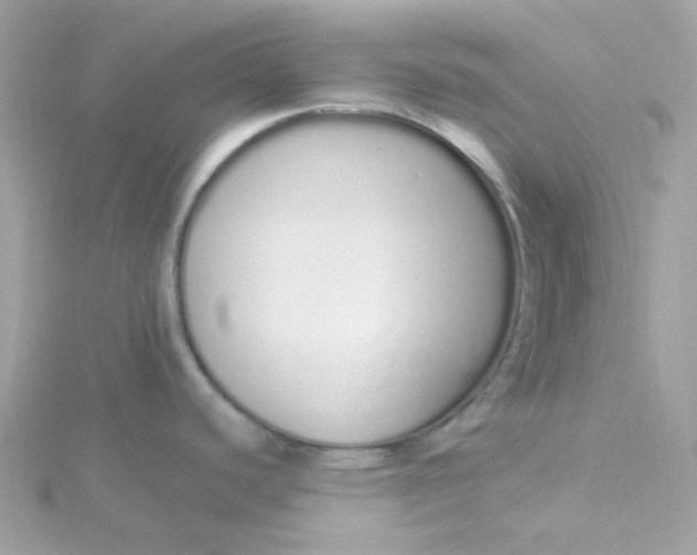 X0000115711440200911251846