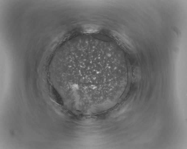 X0000115711441200911251845