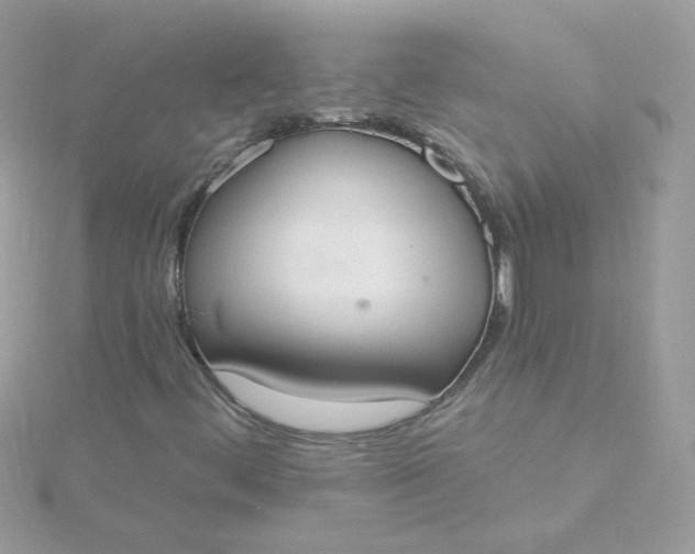 X0000115711444200911251845