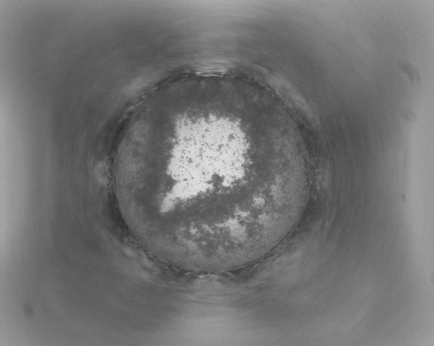 X0000115711445200911251845