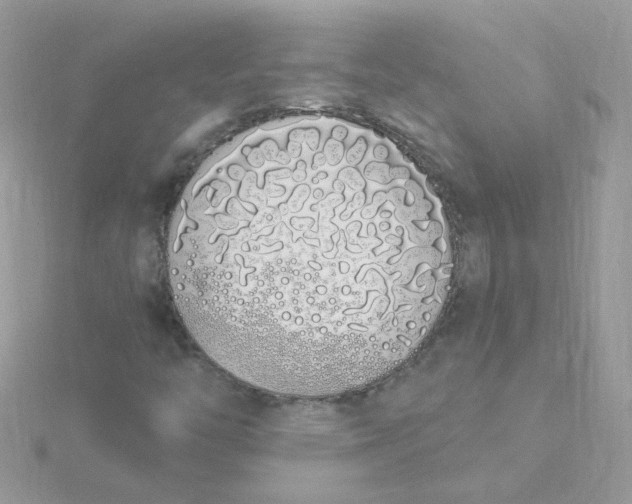 X0000115711446200911251845