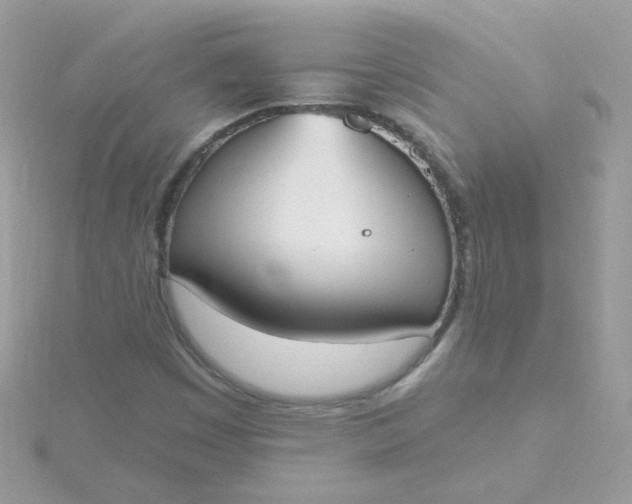 X0000115711449200911251845