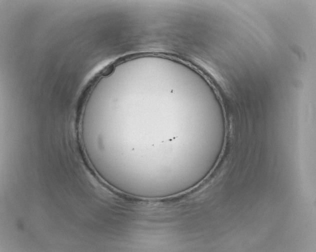 X0000115711452200911251845