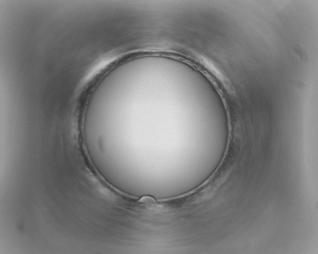 X0000115711456200911251845