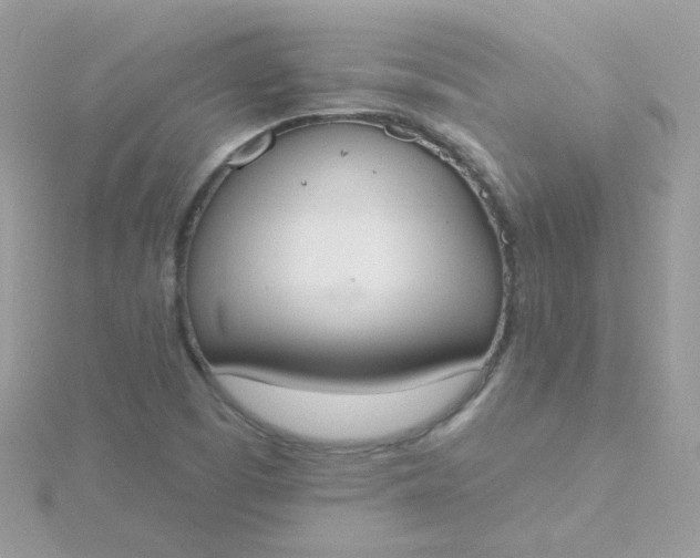 X0000115711457200911251845