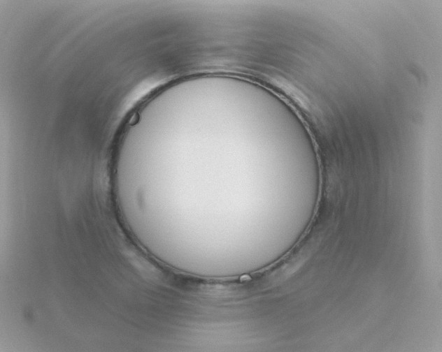 X0000115711458200911251845