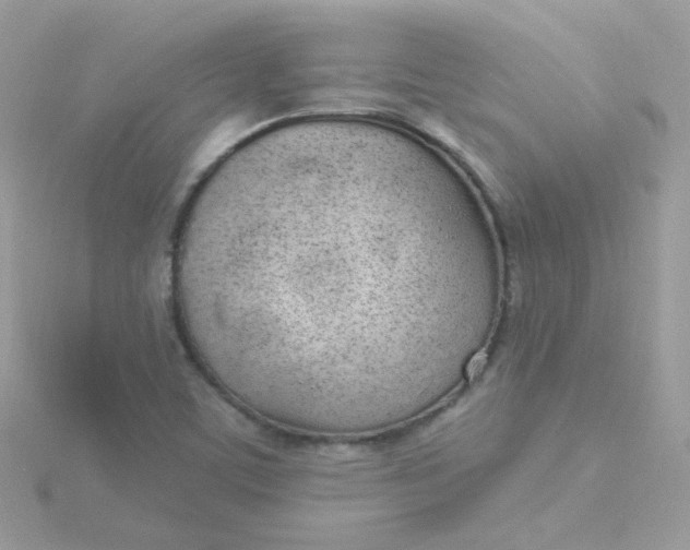 X0000115711459200911251845