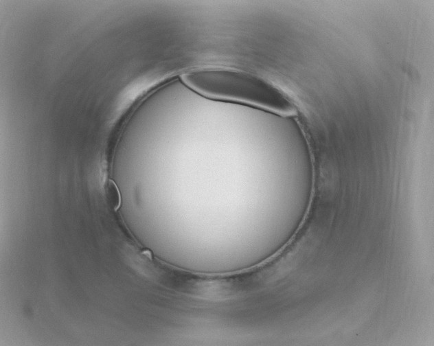 X0000115711461200911251845