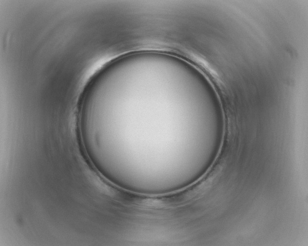 X0000115711463200911251845