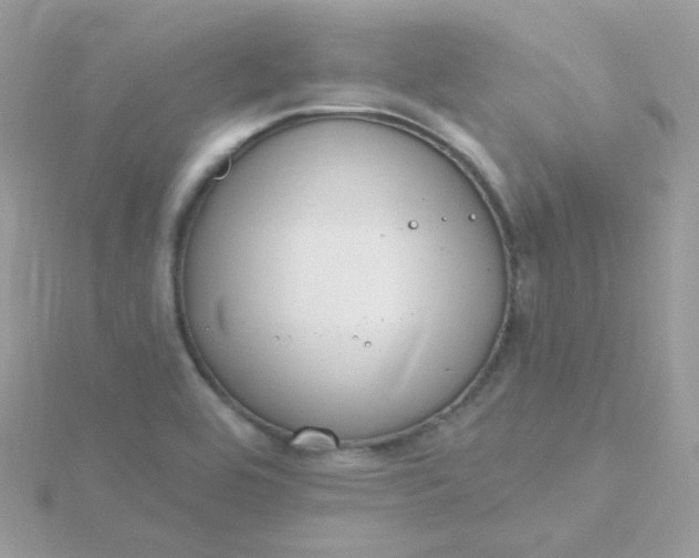 X0000115711464200911251845