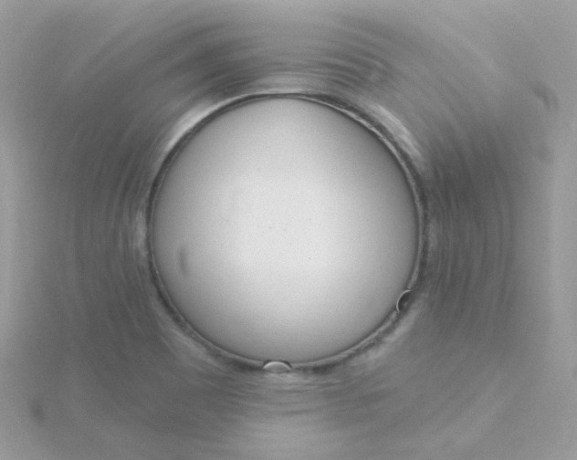 X0000115711465200911251845