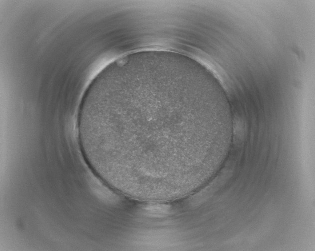 X0000115711466200911251845