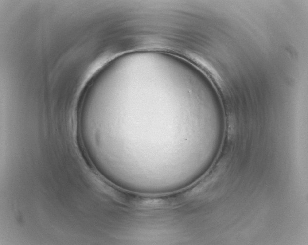 X0000115711467200911251845