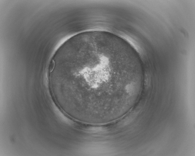 X0000115711468200911251845