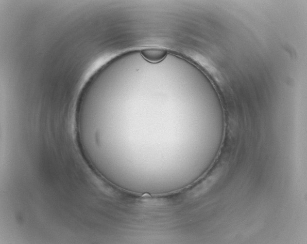 X0000115711469200911251845