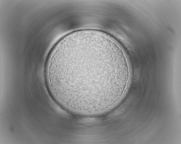 X0000115711470200911251845