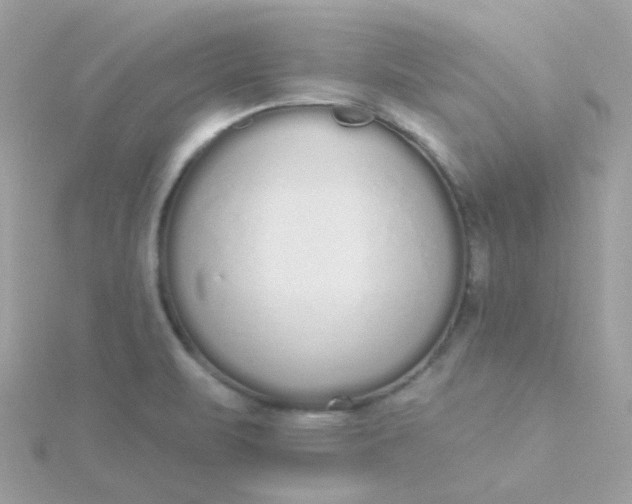 X0000115711471200911251845