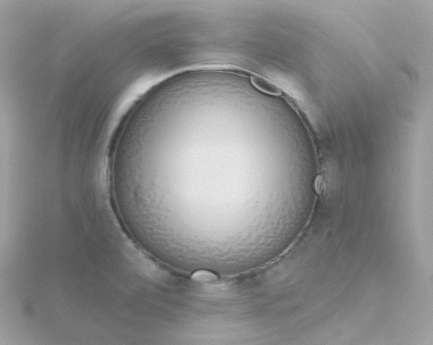 X0000115711472200911251845