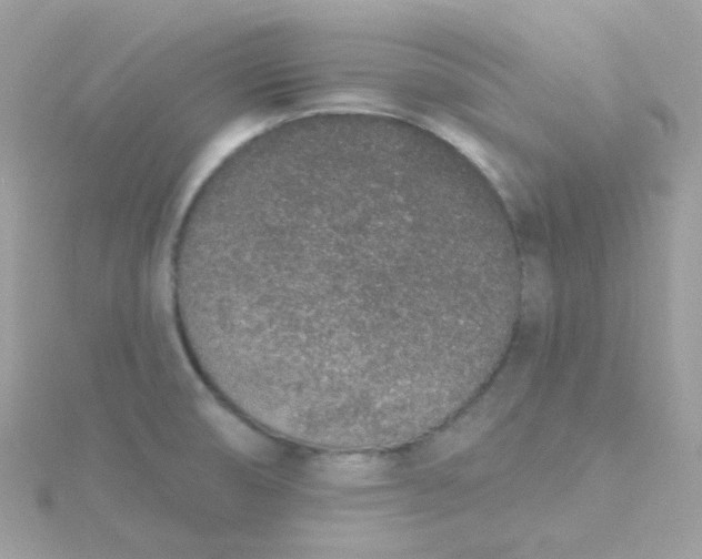 X0000115711474200911251845