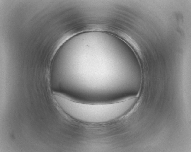 X0000115711481200911251845