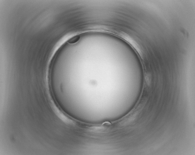 X0000115711482200911251845