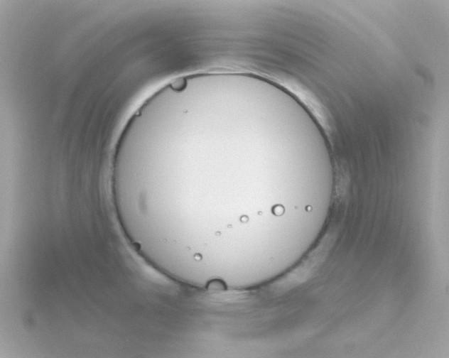 X0000115711486200911251845