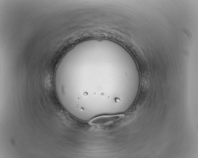 X0000115711490200911251844