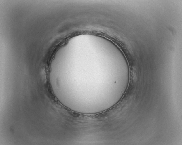 X0000115711493200911251844