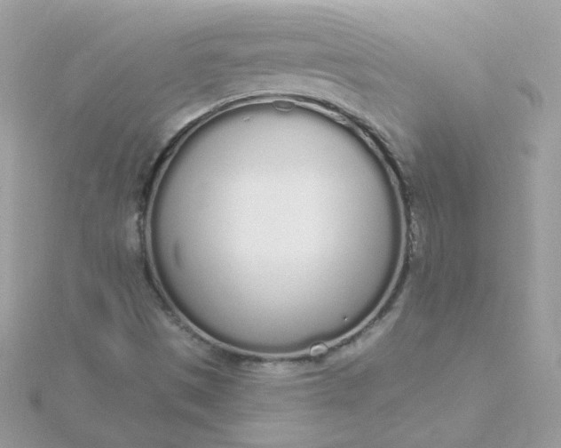 X0000115711497200911251844