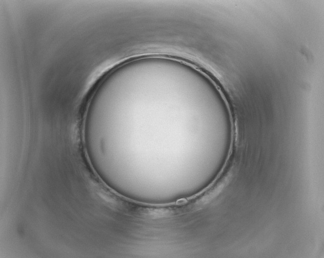 X0000115711501200911251844