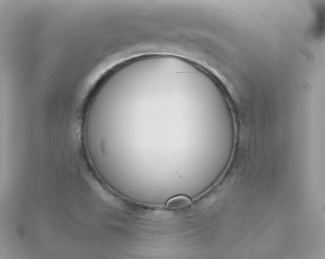 X0000115711503200911251844