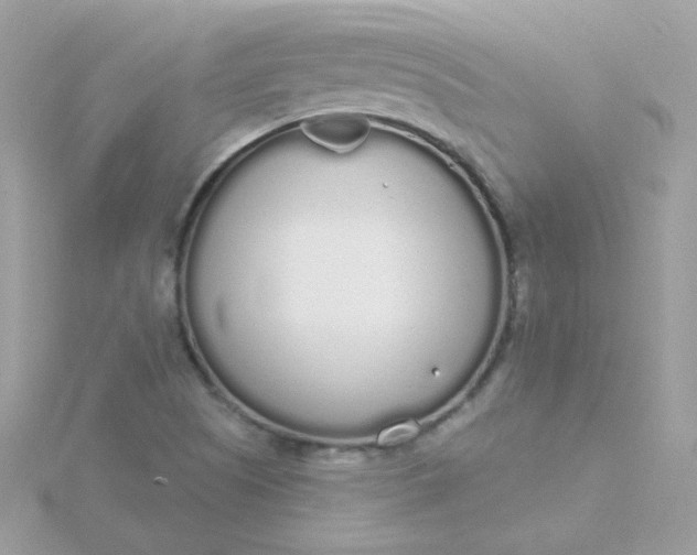 X0000115711505200911251844