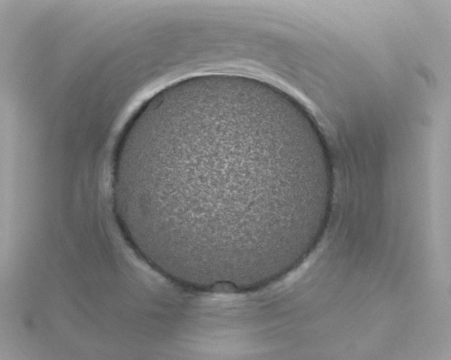 X0000115711506200911251844