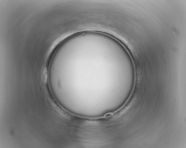 X0000115711509200911251844