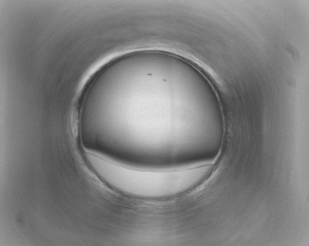 X0000115711510200911251844