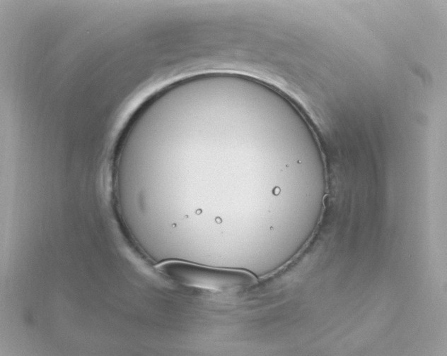 X0000115711511200911251845