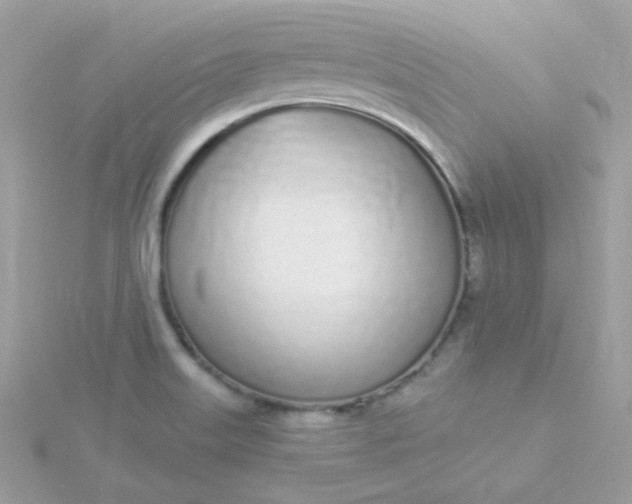 X0000115711515200911251845