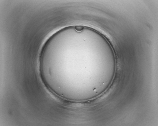 X0000115711517200911251845