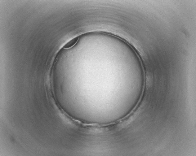 X0000115711521200911251845